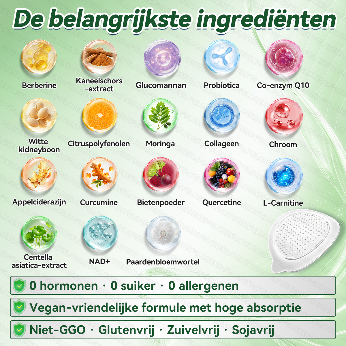 🇳🇱Officiële winkel | 🌿🩹 𝗚𝗟𝗢𝗥𝗘𝗡𝗗𝗔® Moringa · Berberine + NAD+ – 10-in-1 Geavanceerde Nano Micronaald Patch (slechts 1× per dag, zichtbare veranderingen binnen 7 dagen) | Voor obesitas, losse huid, diabetes, slaapapneu, gewrichtsproblemen en meer