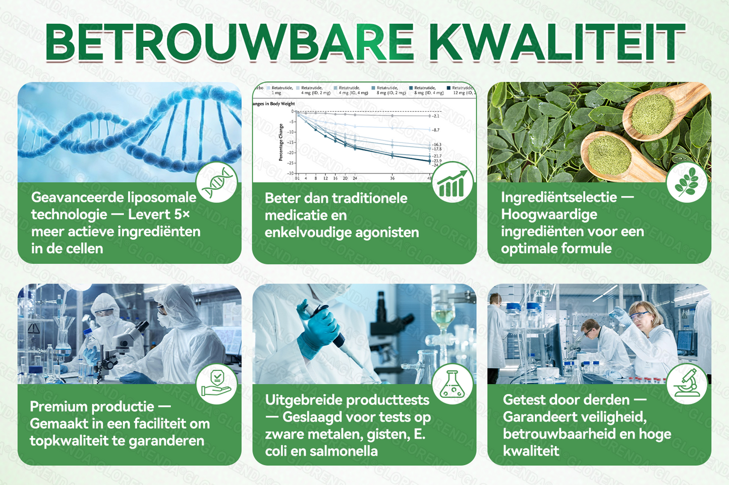 🇳🇱Officiële winkel | 🌿🩹 𝗚𝗟𝗢𝗥𝗘𝗡𝗗𝗔® Moringa · Berberine + NAD+ – 10-in-1 Geavanceerde Nano Micronaald Patch (slechts 1× per dag, zichtbare veranderingen binnen 7 dagen) | Voor obesitas, losse huid, diabetes, slaapapneu, gewrichtsproblemen en meer