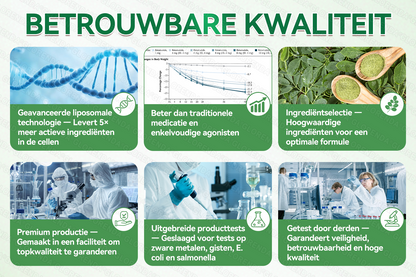 🇳🇱Officiële winkel | 🌿🩹 𝗚𝗟𝗢𝗥𝗘𝗡𝗗𝗔® Moringa · Berberine + NAD+ – 10-in-1 Geavanceerde Nano Micronaald Patch (slechts 1× per dag, zichtbare veranderingen binnen 7 dagen) | Voor obesitas, losse huid, diabetes, slaapapneu, gewrichtsproblemen en meer